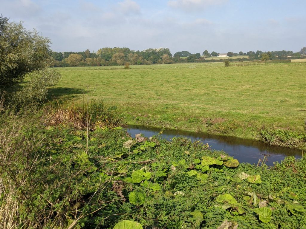 River Cherwell close to Aynho wharf