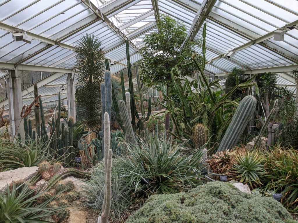 Princess of Wales Conservatory - Arid Section - Kew Gardens