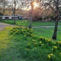 Spring Sunset in Spiceball Park