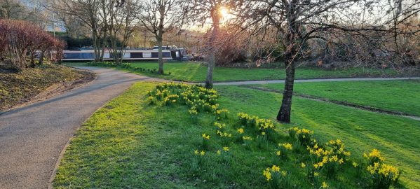 Spiceball Park – In the winter