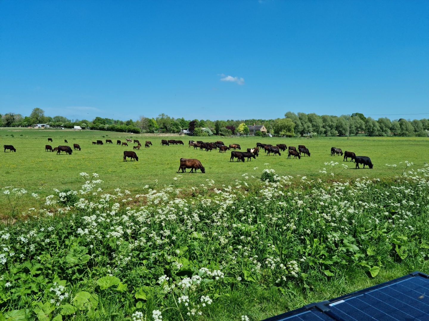 Tamil Centre from the Canal - Oxfordshire