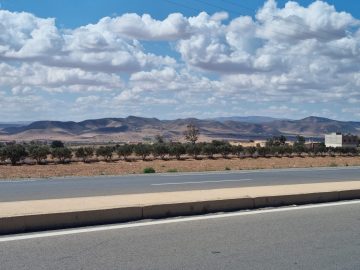 Berkane to Nardor