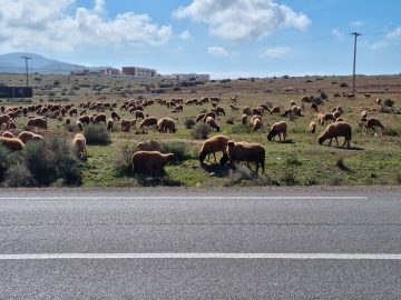 Narbon to Al Hoceima