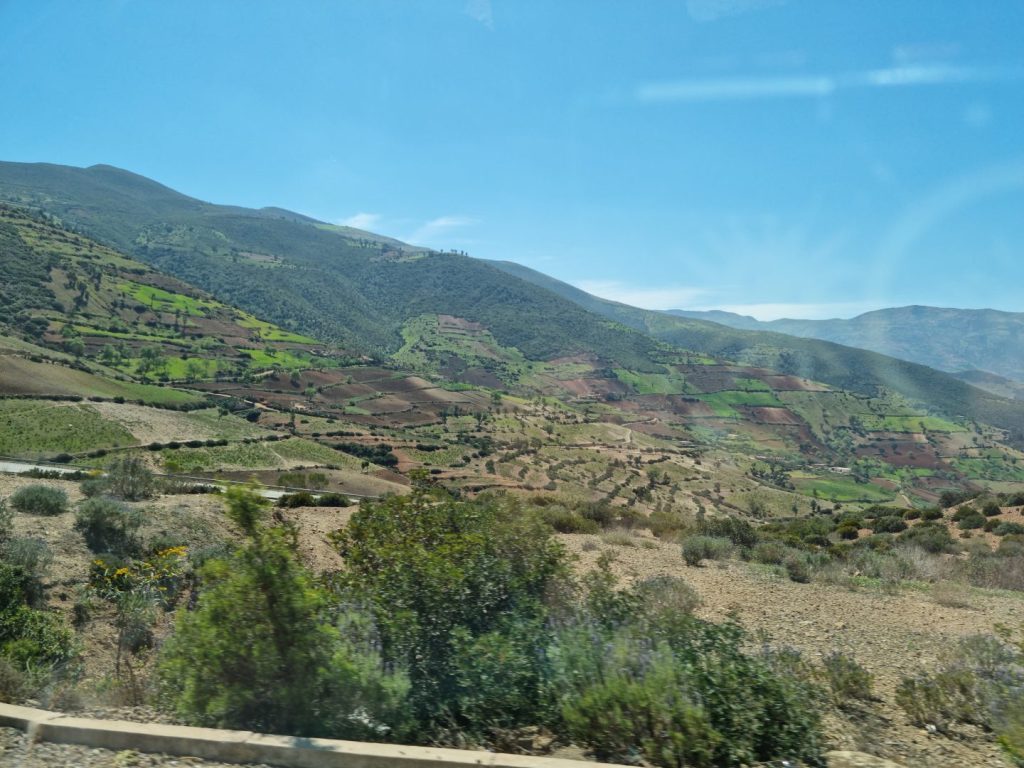 into the mountains