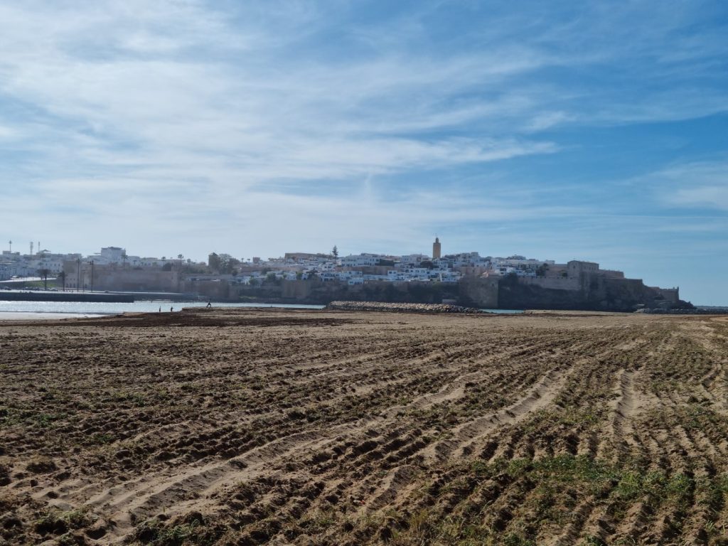 View of Rabat from Sale Marina