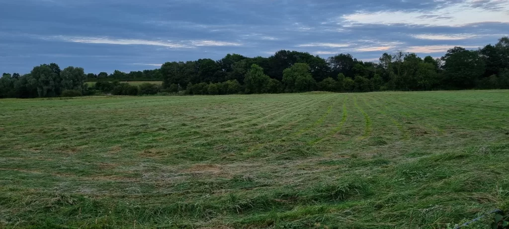 Haymaking