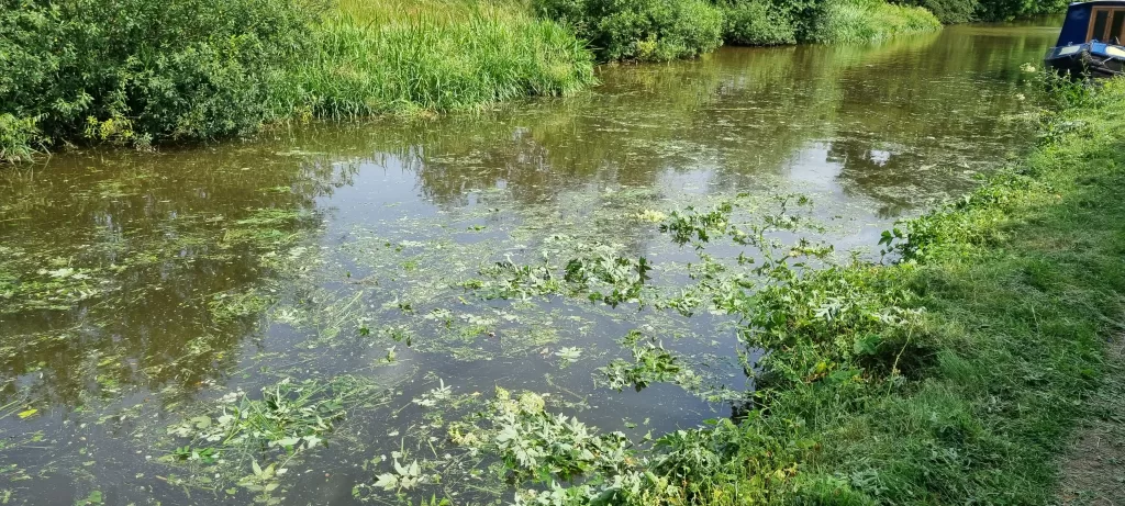 Canal and River Trust contractors handiwork