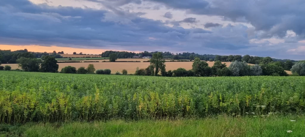 View to Aynho Manor