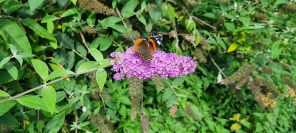 Wolvercote, Oxford to Lechlade