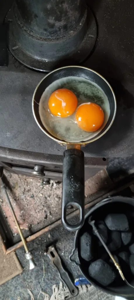 Double yolked eggs