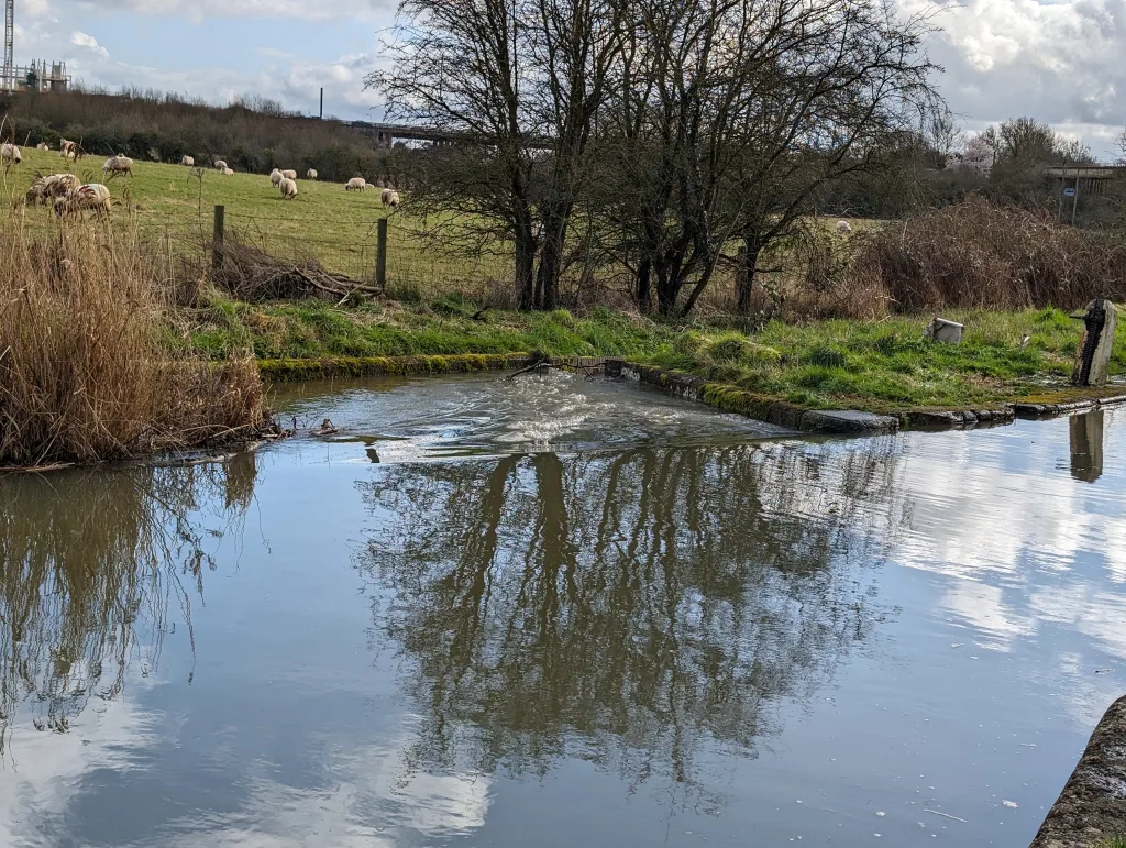 Overflowing overflow - Wolvercote - Dukes cut