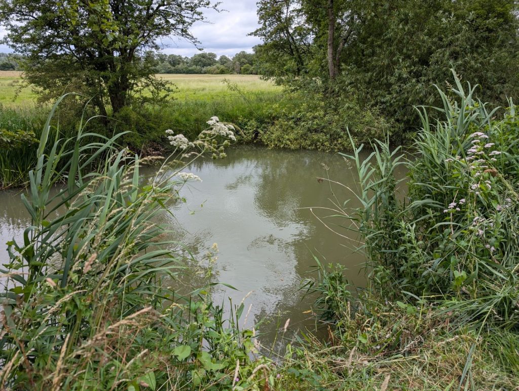 River Cherwell at Enslow