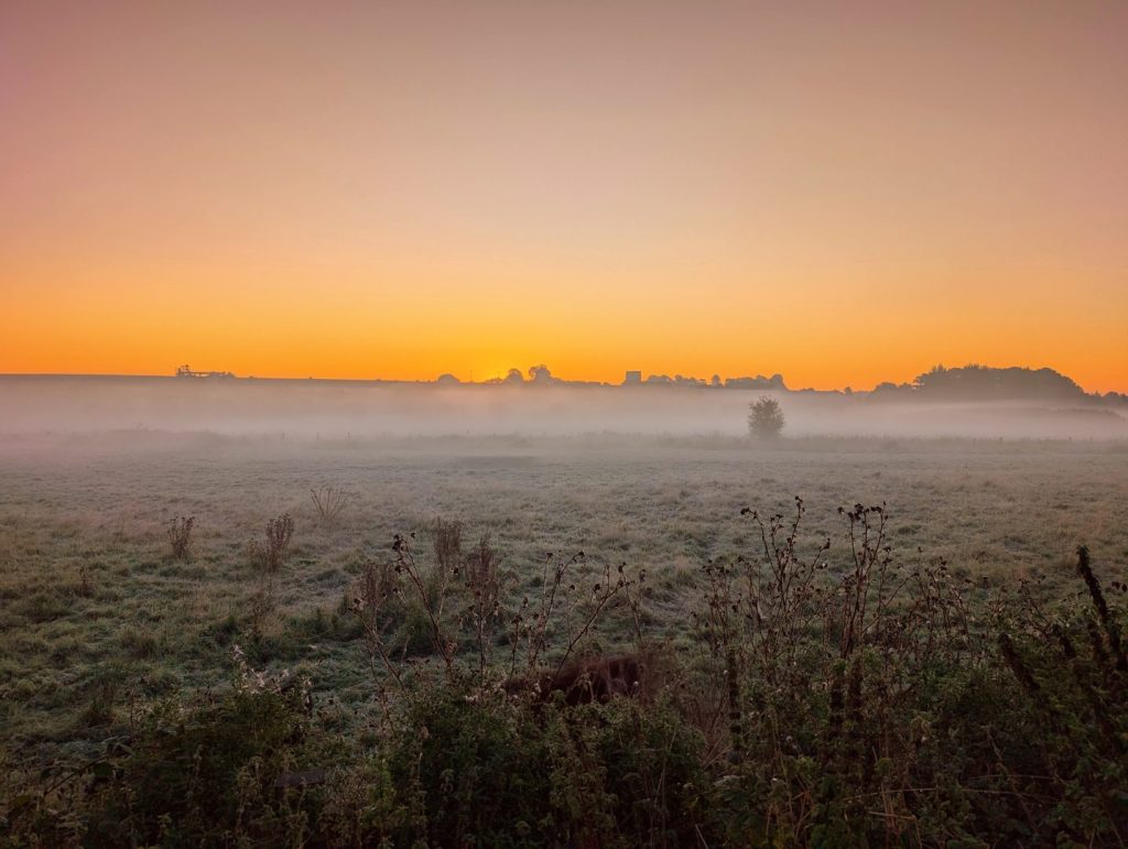 September morning in Twyford Wharf
