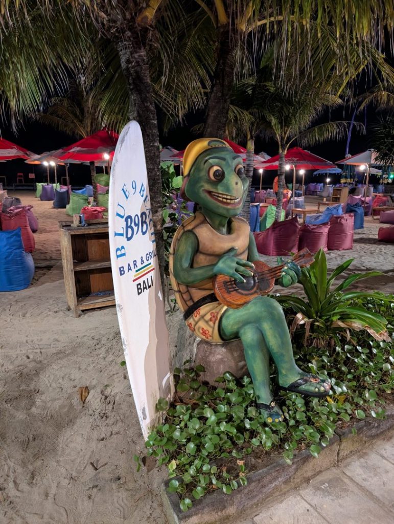 Rasta turtle - Seminyak beach