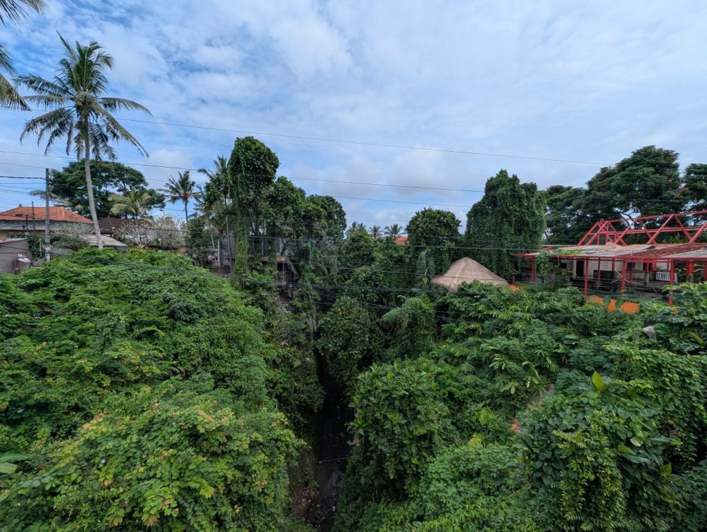 Monkey forest Ubud