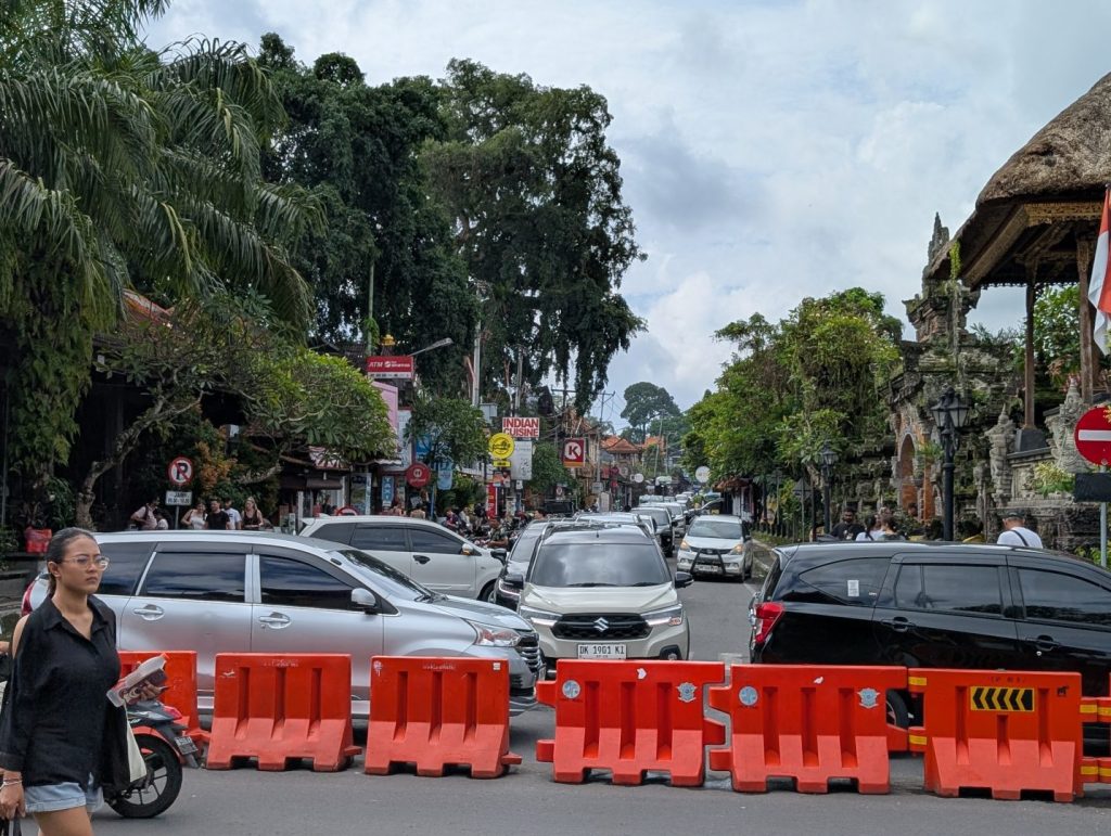 Ubud central spot