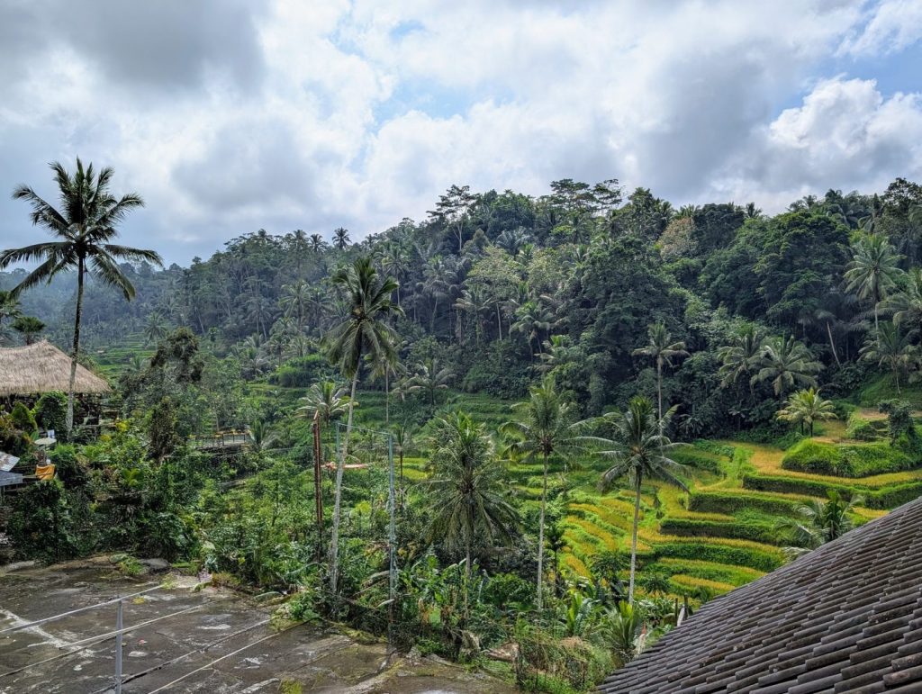 Tegallalang Rice Terrace - Ubud