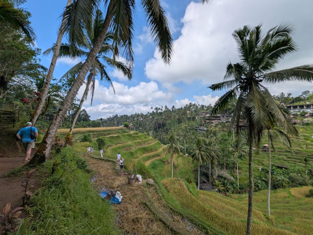 Many tourists Tegallalang Rice Terrace - Ubud