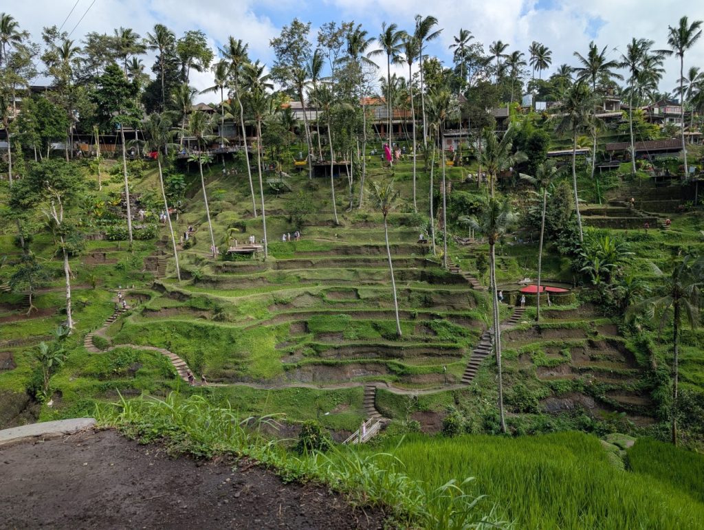 Tegallalang Rice Terrace - Ubud