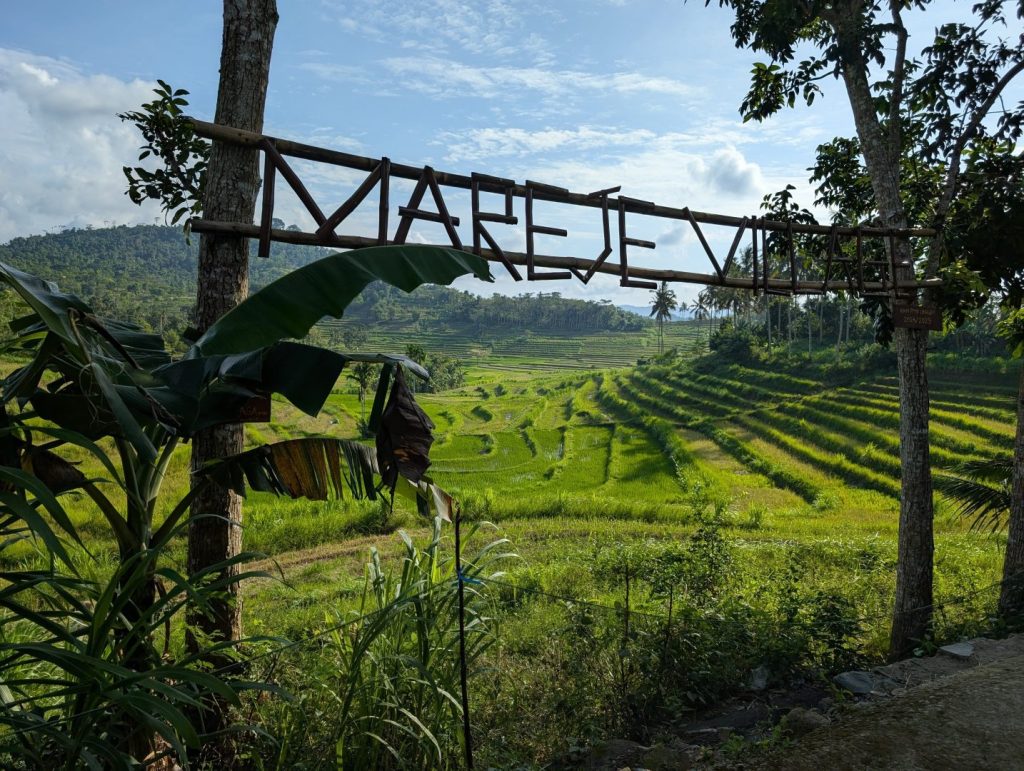 Sawah Terasering Mareje