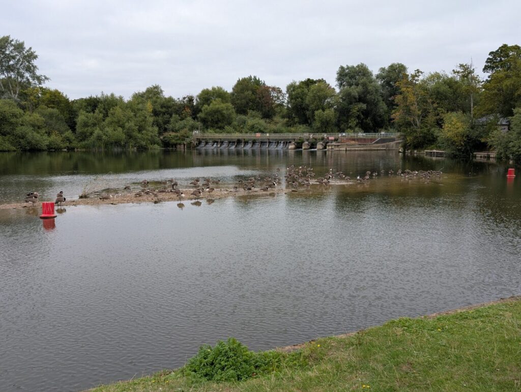 Abdingdon Weir