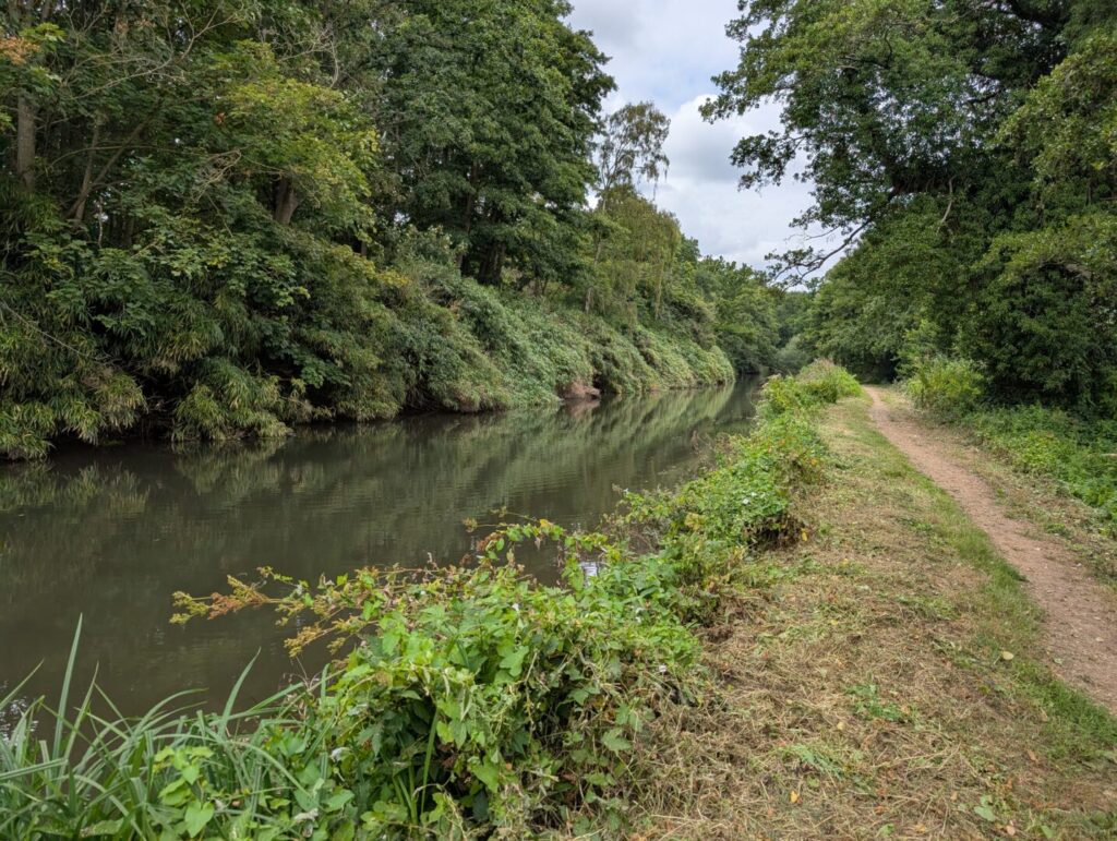 This is what the Wey Navigation canal looks like