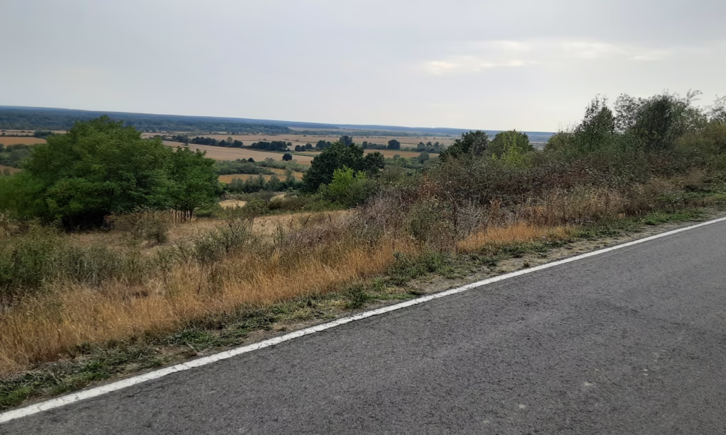 The Timasoara plains