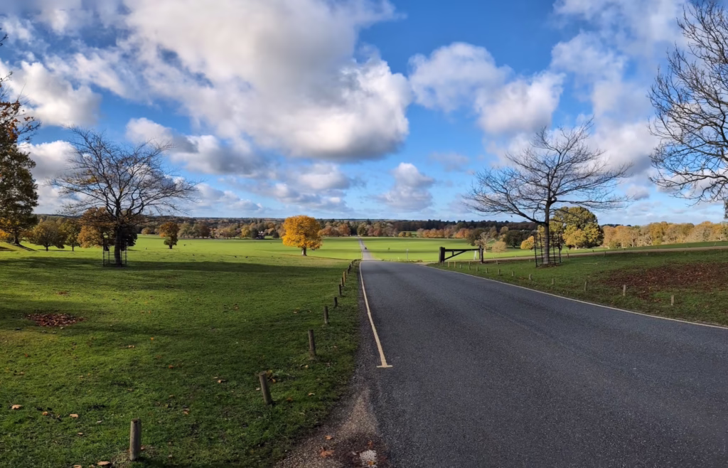 Woburn Deer Park